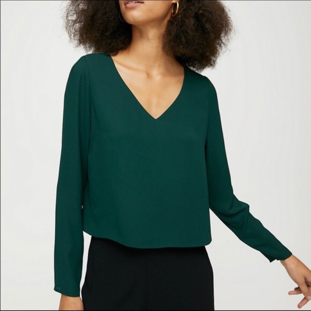 Aritzia Murphy long sleeve blouse